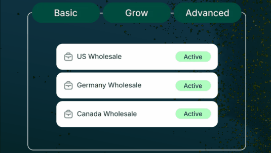B2B for Everyone: Engineering the Shopify Spring '26 Democratization